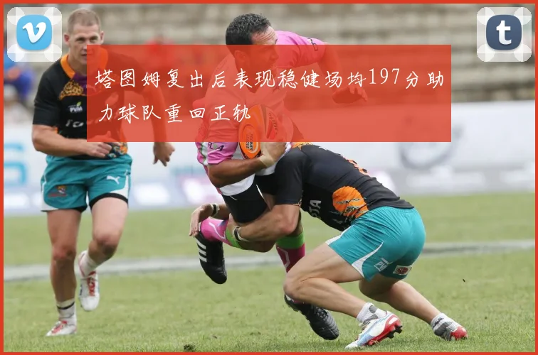 塔图姆复出后表现稳健场均197分助力球队重回正轨