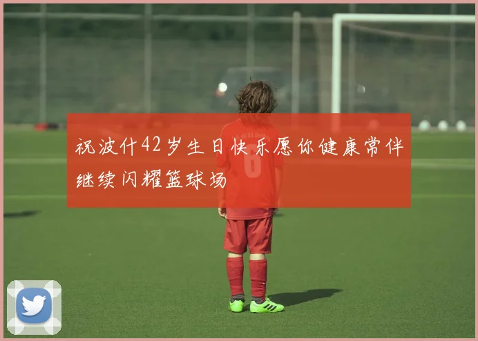 祝波什42岁生日快乐愿你健康常伴继续闪耀篮球场