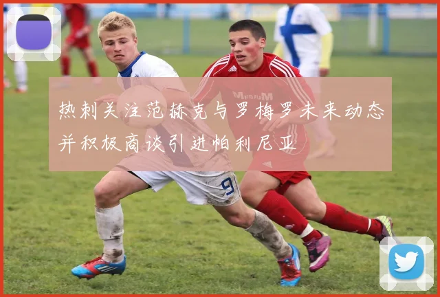 热刺关注范赫克与罗梅罗未来动态并积极商谈引进帕利尼亚